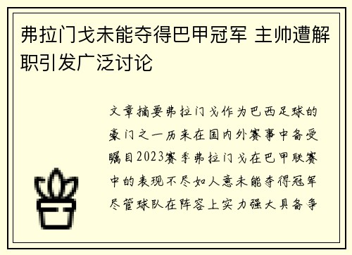 弗拉门戈未能夺得巴甲冠军 主帅遭解职引发广泛讨论 弗拉门戈未能夺得巴甲冠军 主帅遭解职引发广泛讨论